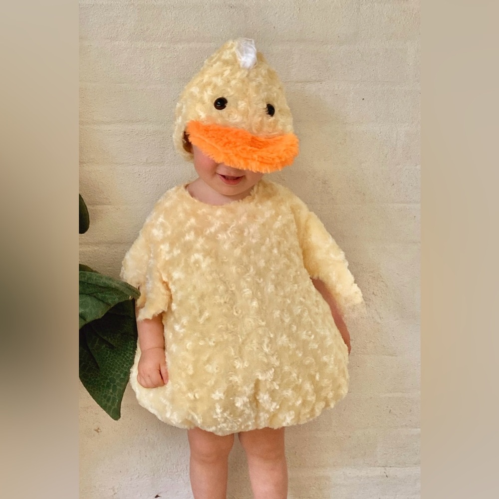 Adorable Duck Costume for Kids